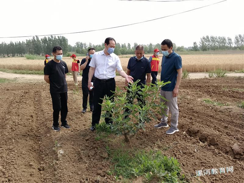 微信图片_202206011456235.jpg 微信图片_202206011456235.jpg