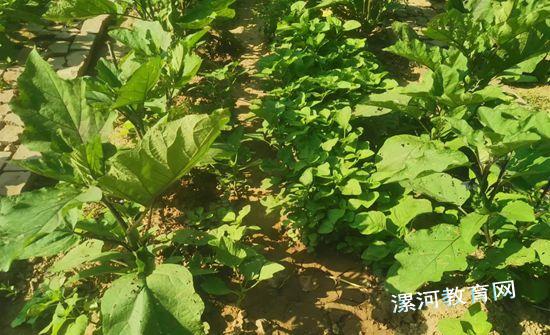 3ef17e8b6b94823627bf4749f392c89.jpg 3ef17e8b6b94823627bf4749f392c89.jpg